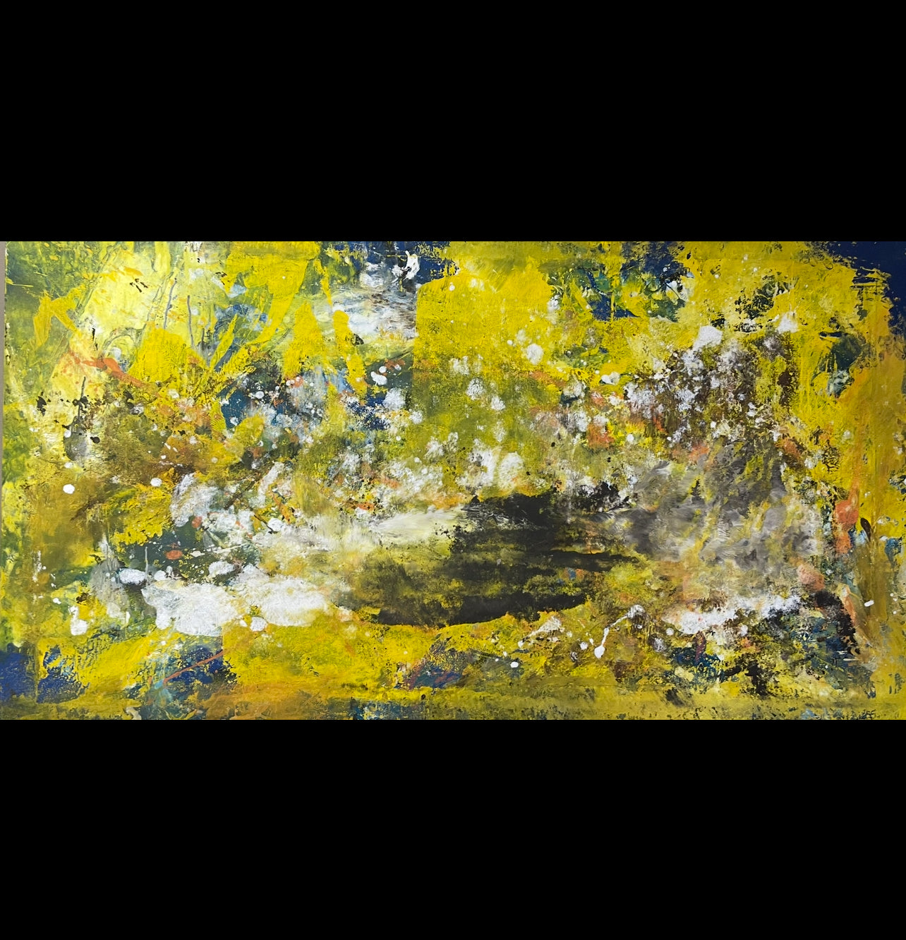 Stagione delle mimose 1￼